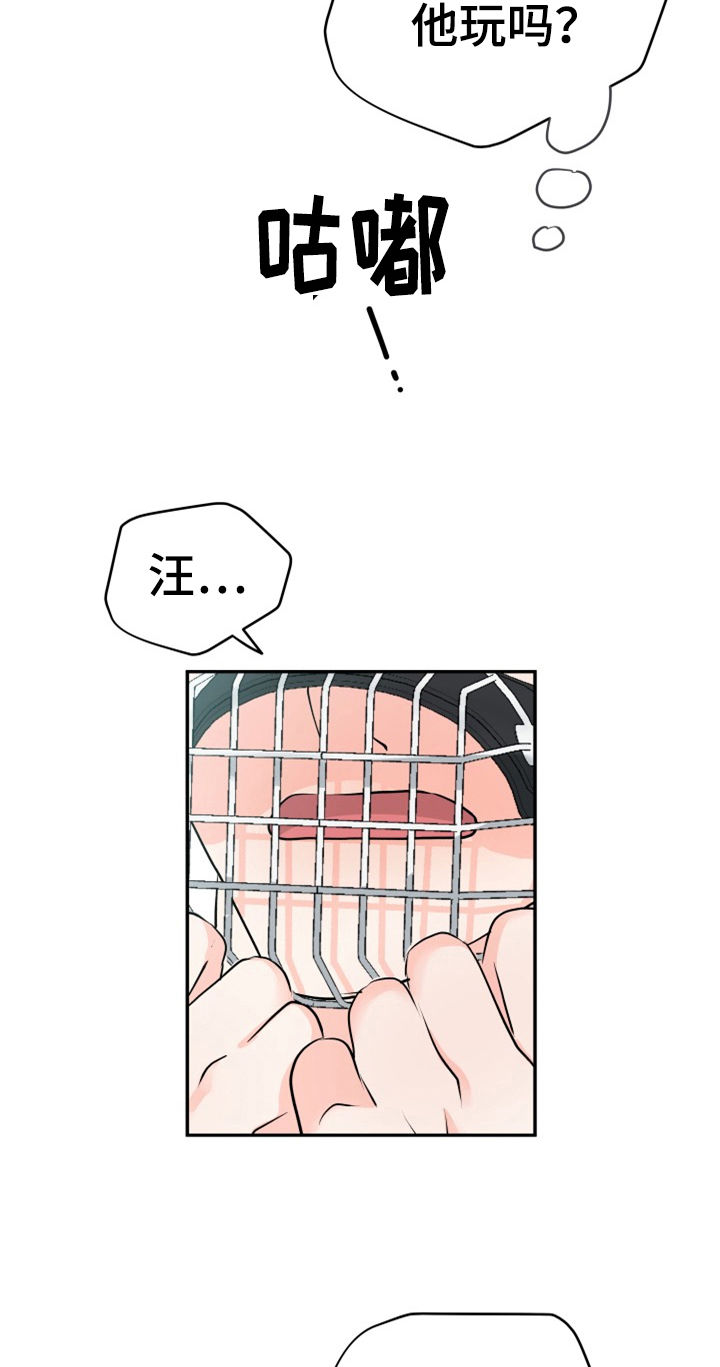 第11章：合适6