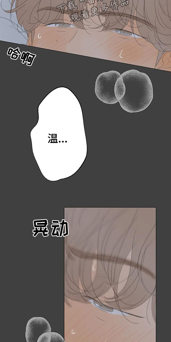 第20章：胡思乱想20