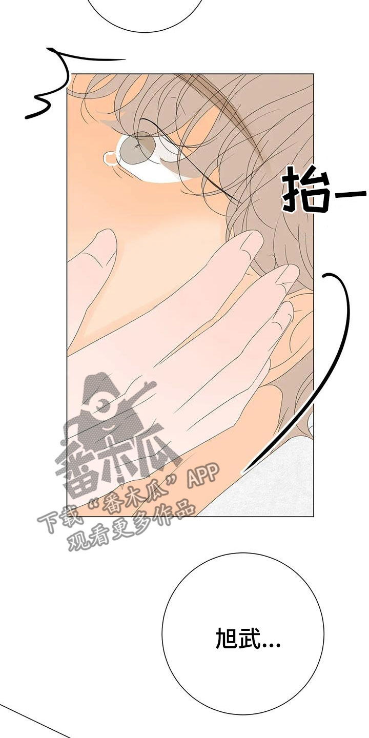 第21章：正在相爱（完结）19