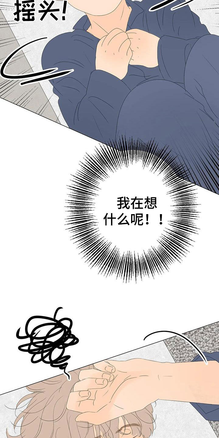 第20章：胡思乱想12