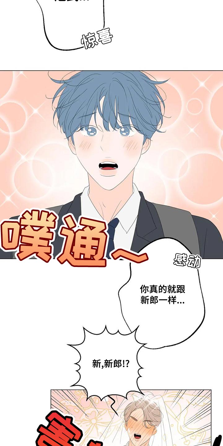 第17章：最高的称赞13
