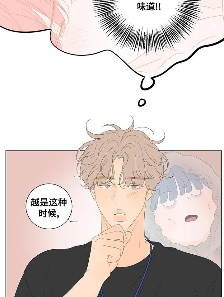 第17章：最高的称赞7