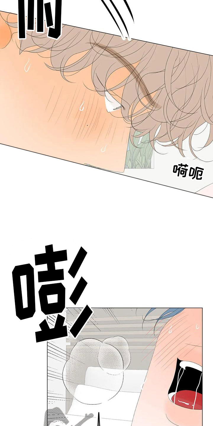 第15章：最爱的人19