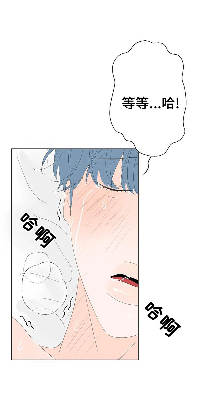 第15章：最爱的人17