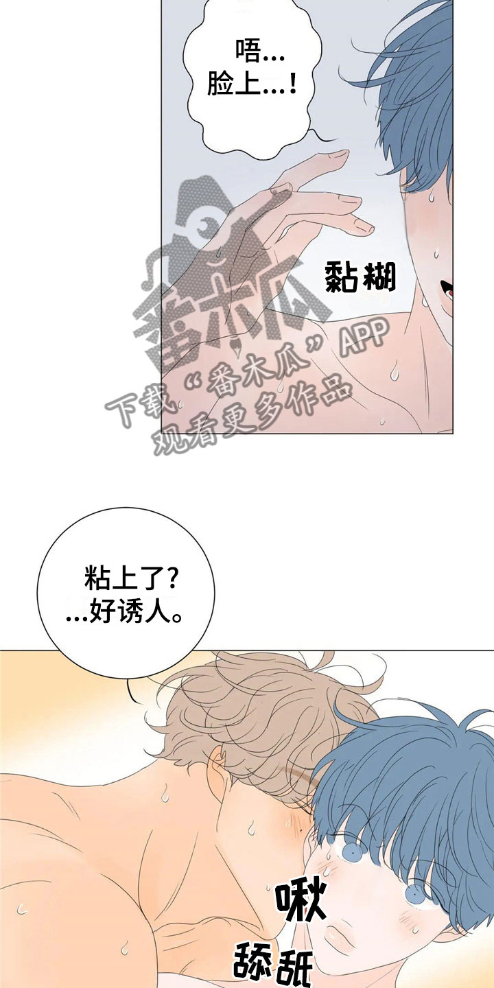 第9章：漂亮11
