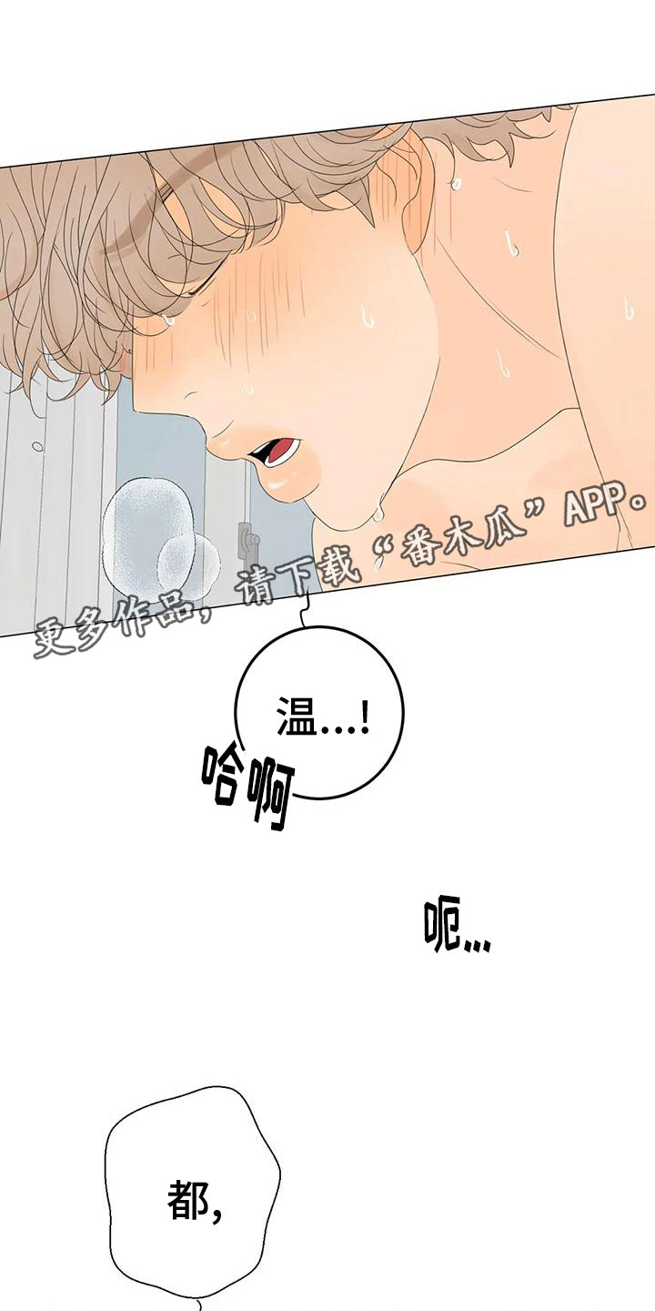 第15章：最爱的人0