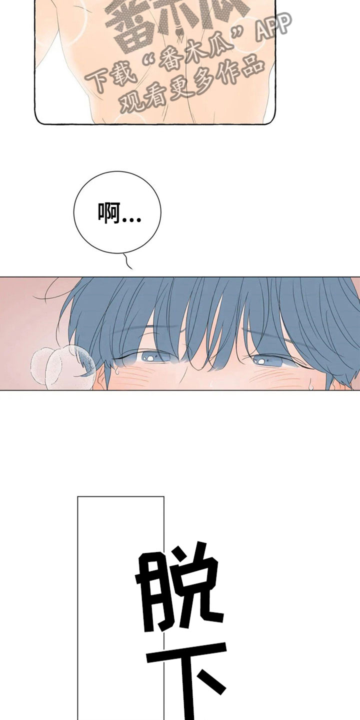 第7章：珍贵15