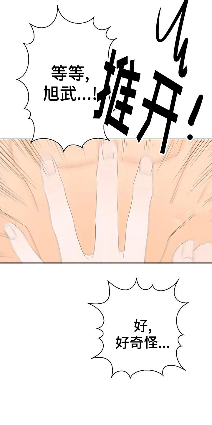 第15章：最爱的人11