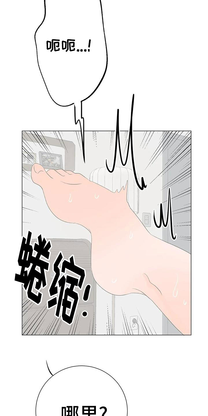 第15章：最爱的人14