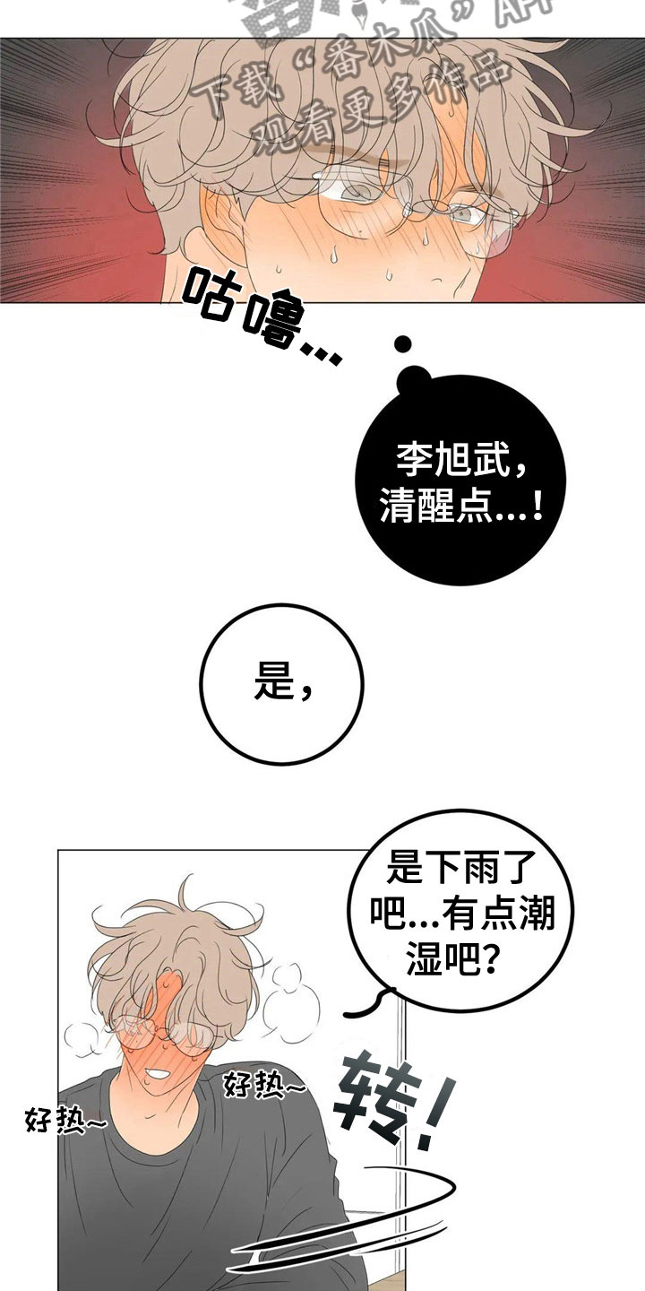 第5章：机会11