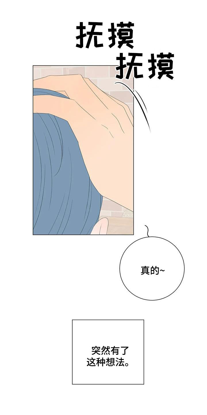 第19章：生日11