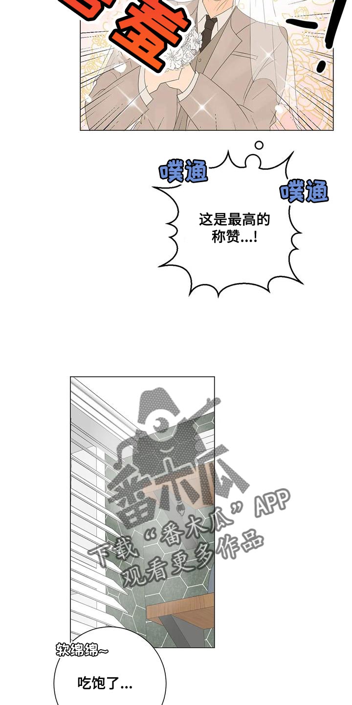 第17章：最高的称赞14