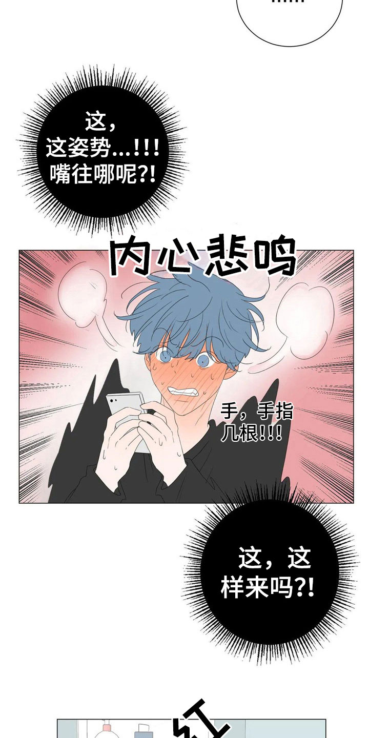 第7章：珍贵12