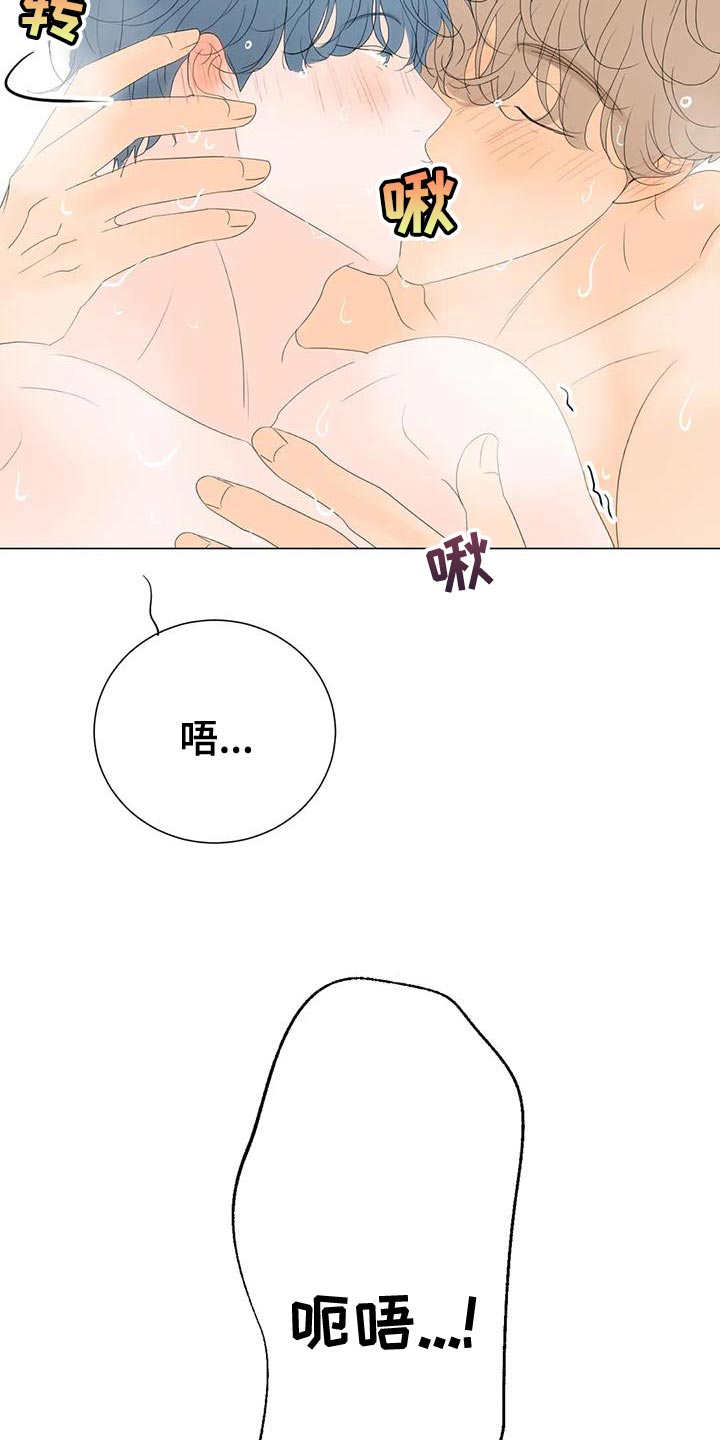 第17章：最高的称赞22