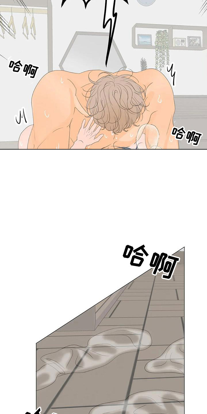 第15章：最爱的人21