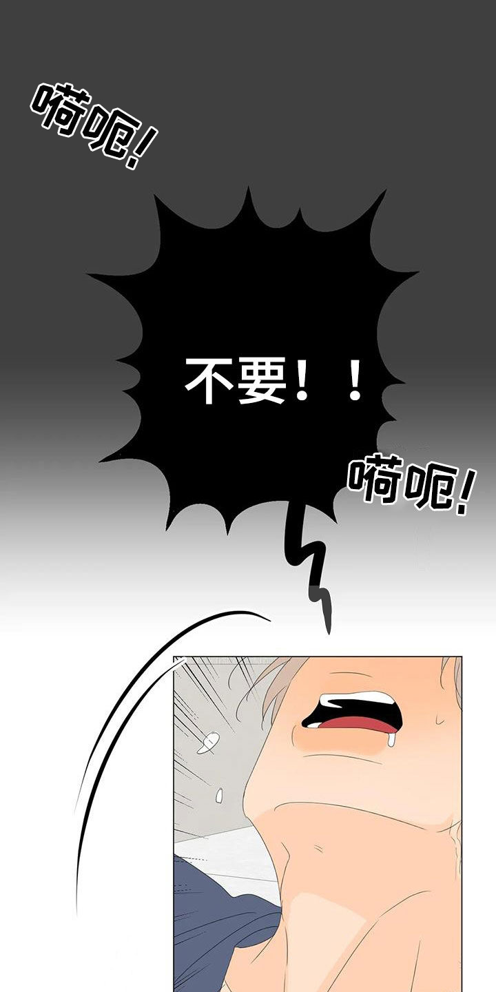 第21章：正在相爱（完结）17