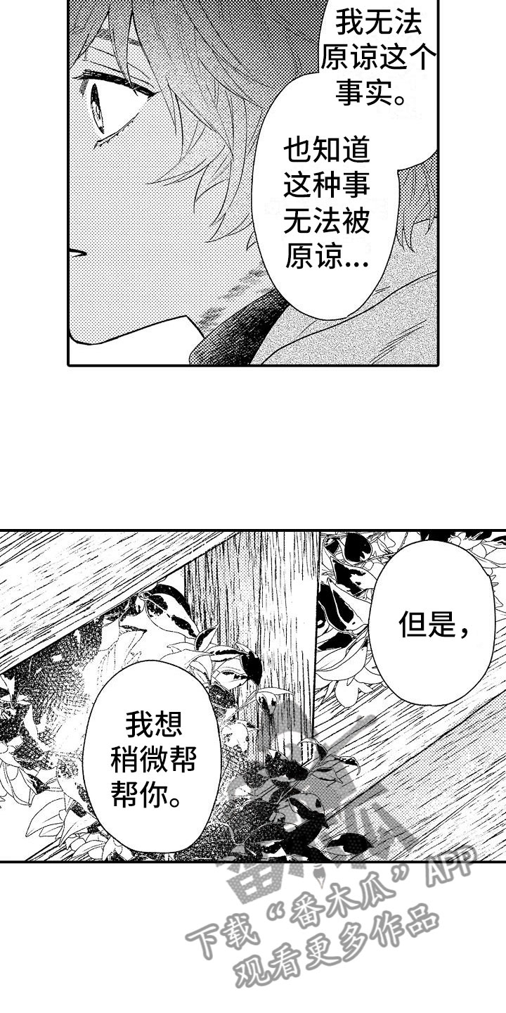 第15章：感动11