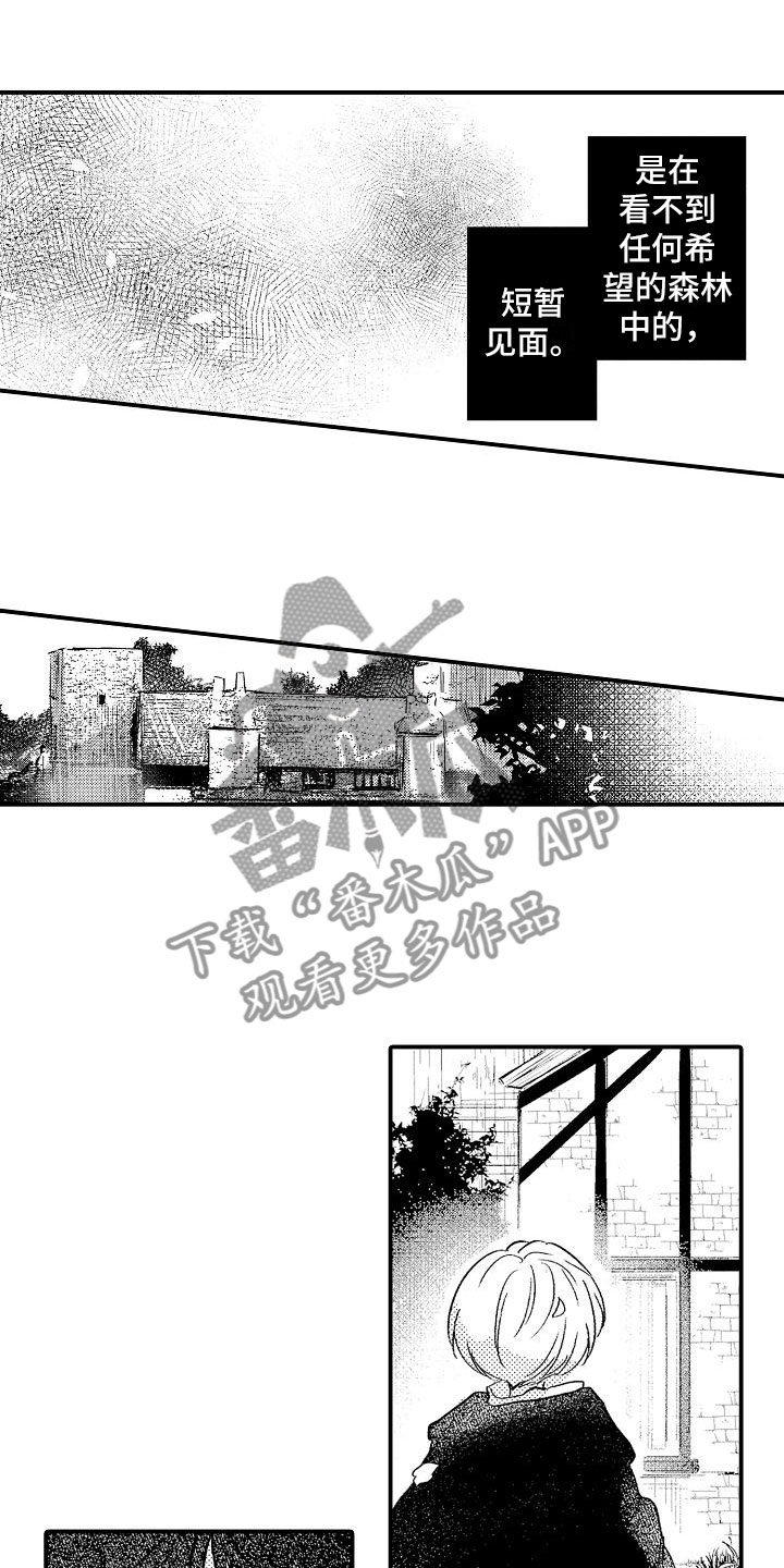 第8章：暴露11