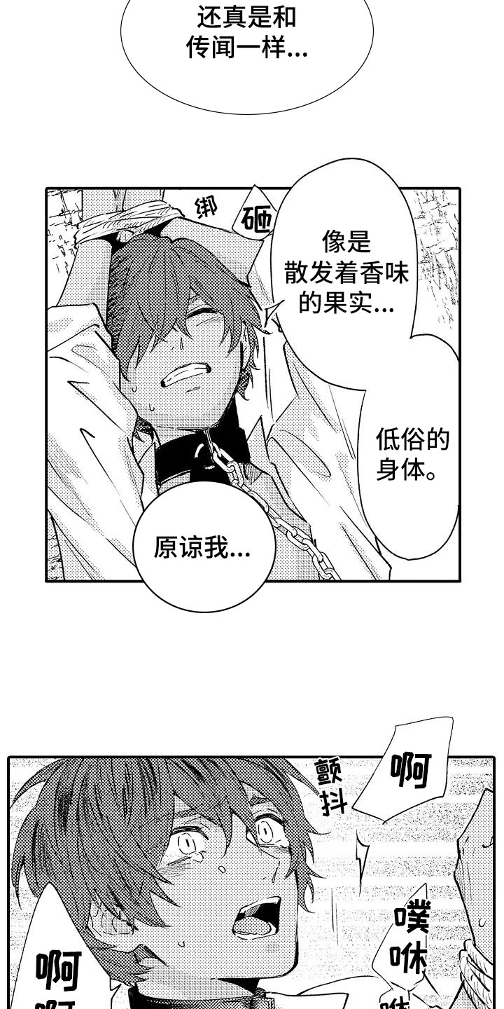 第2章：好奇偷看12