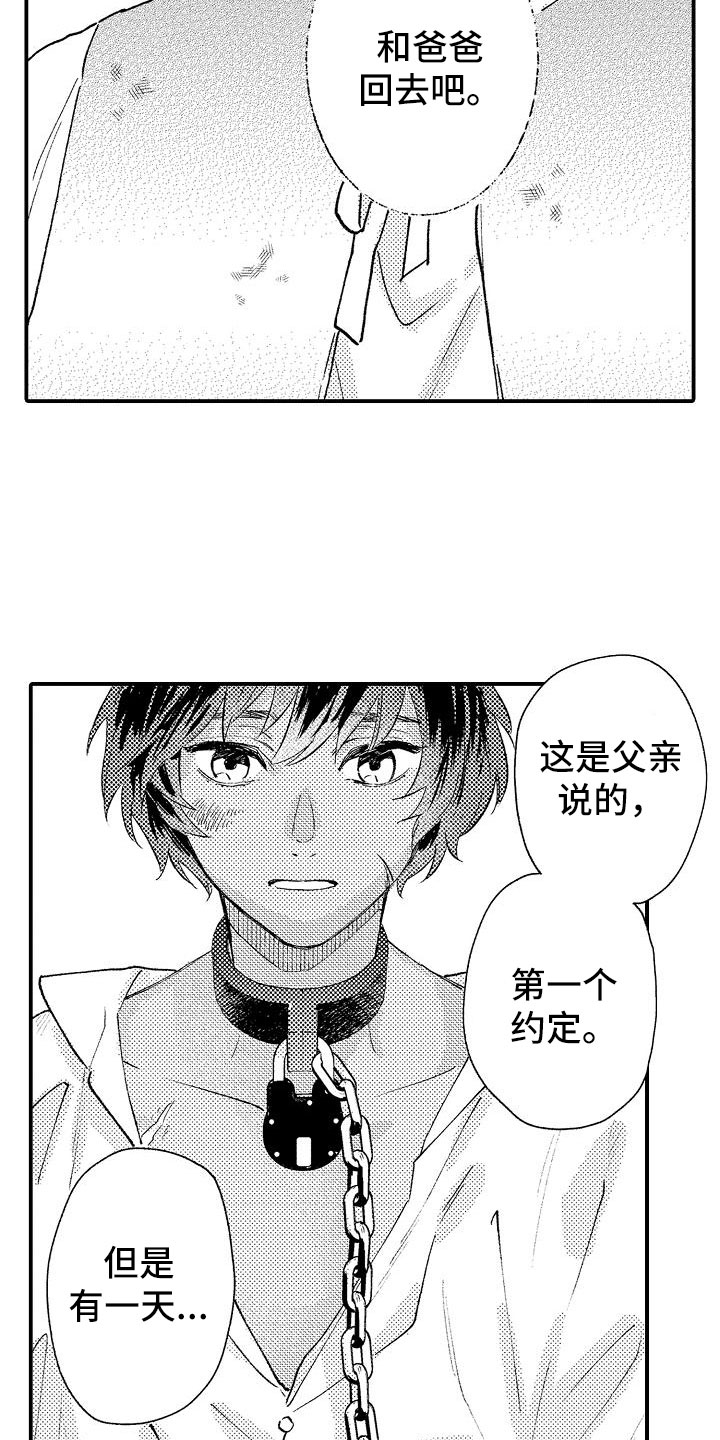 第18章：他的事6