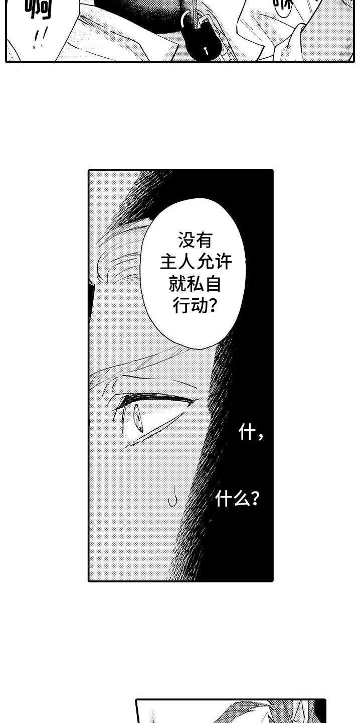 第2章：好奇偷看13