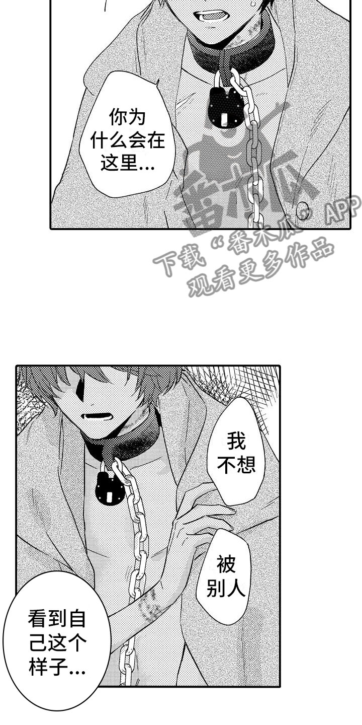 第15章：感动8