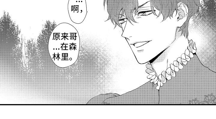 第8章：暴露16