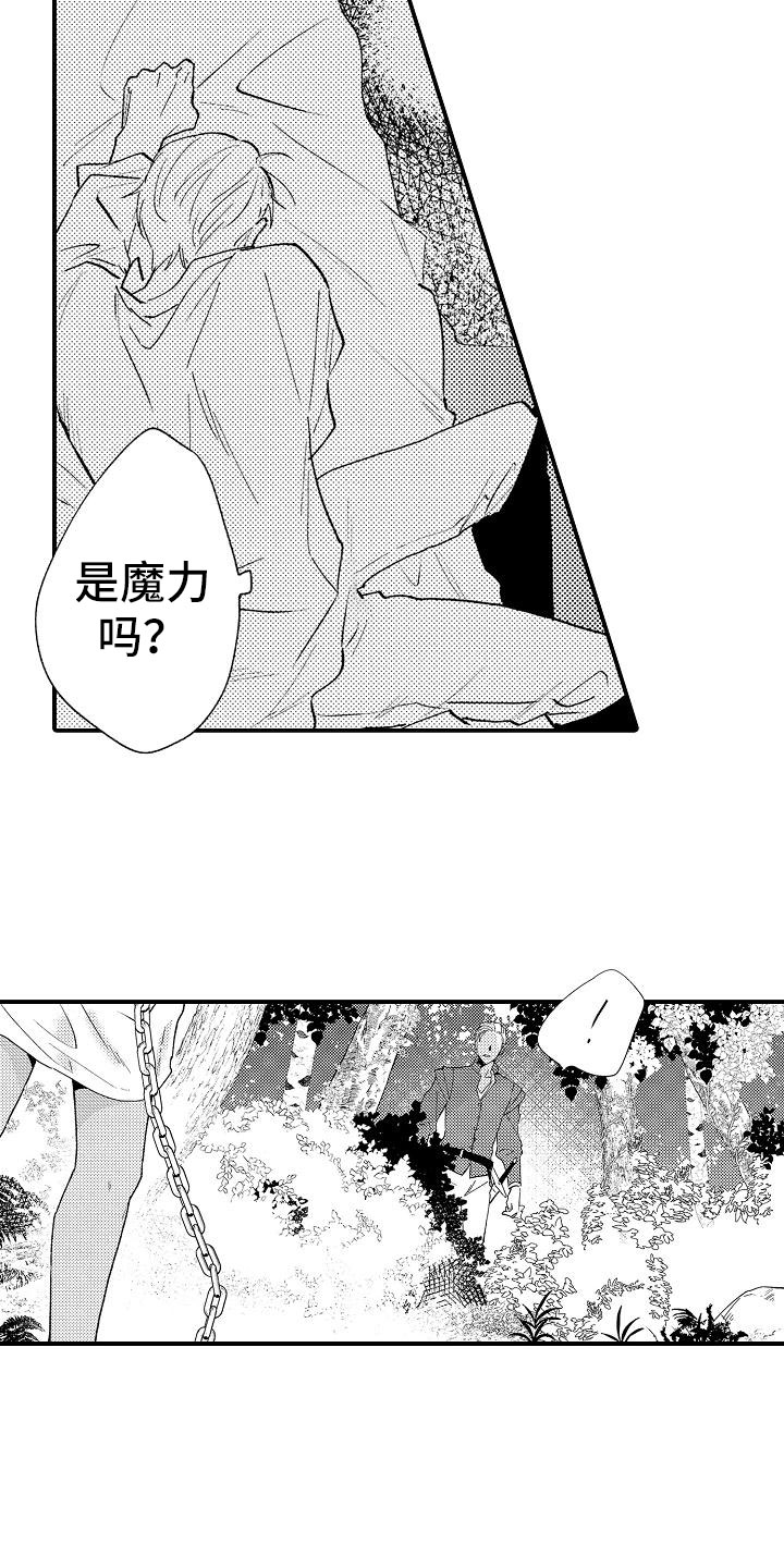 第4章：再次探查11