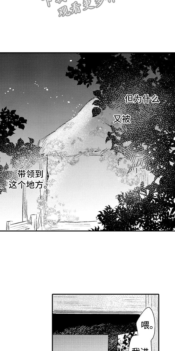 第14章：放不下7