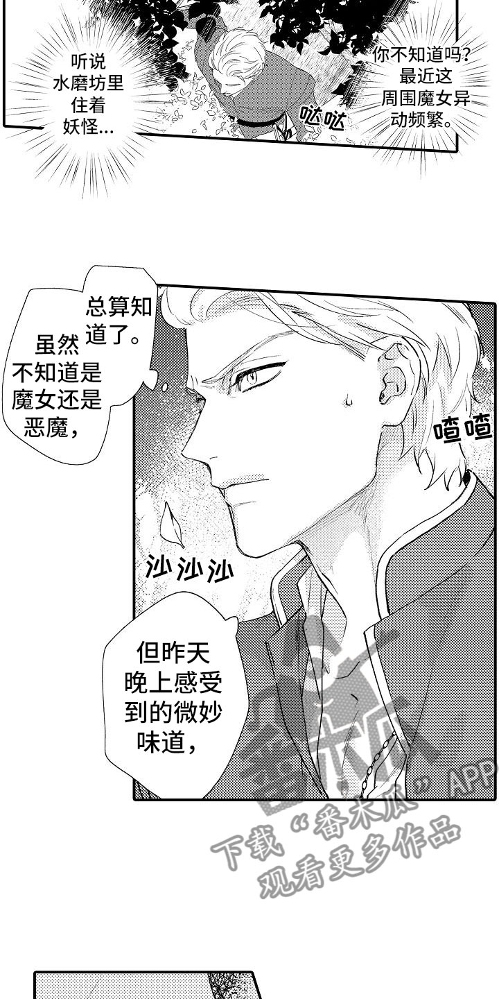 第4章：再次探查10