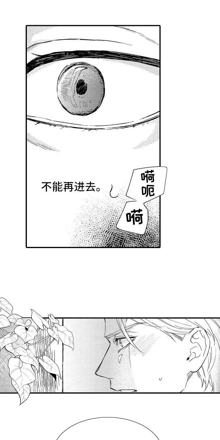 第2章：好奇偷看11