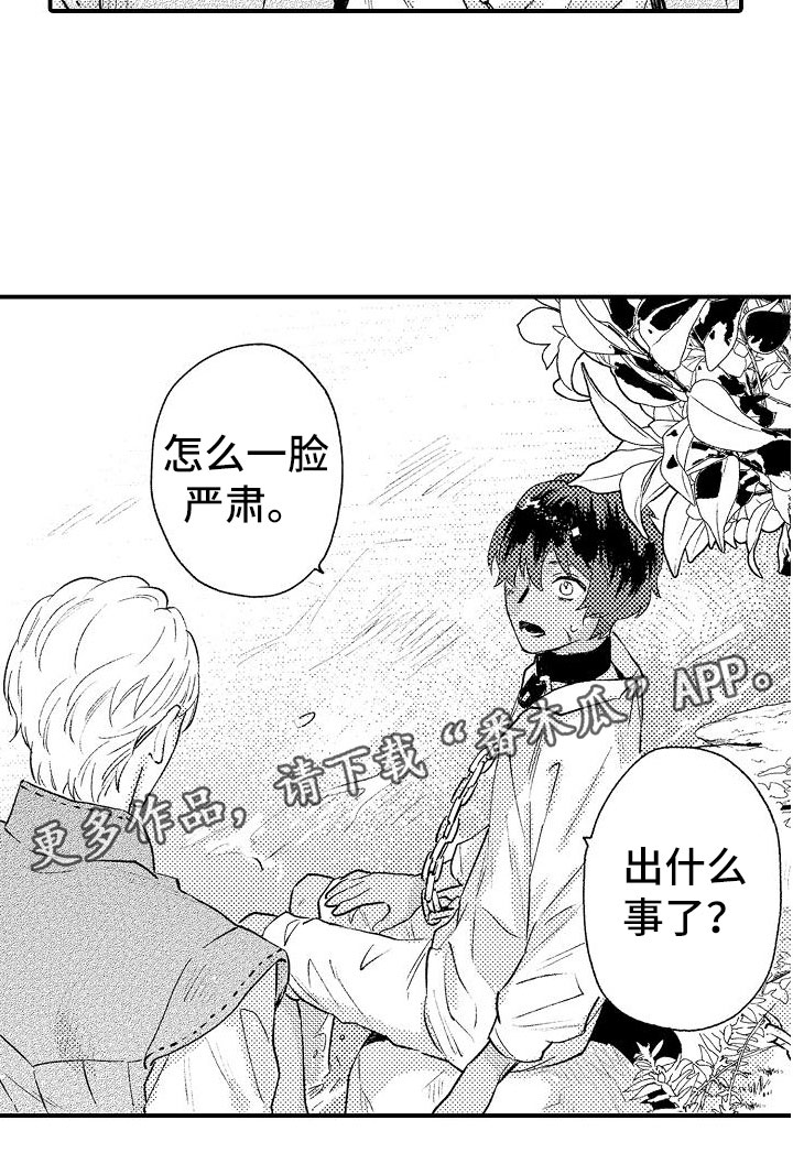 第16章：你的名字13