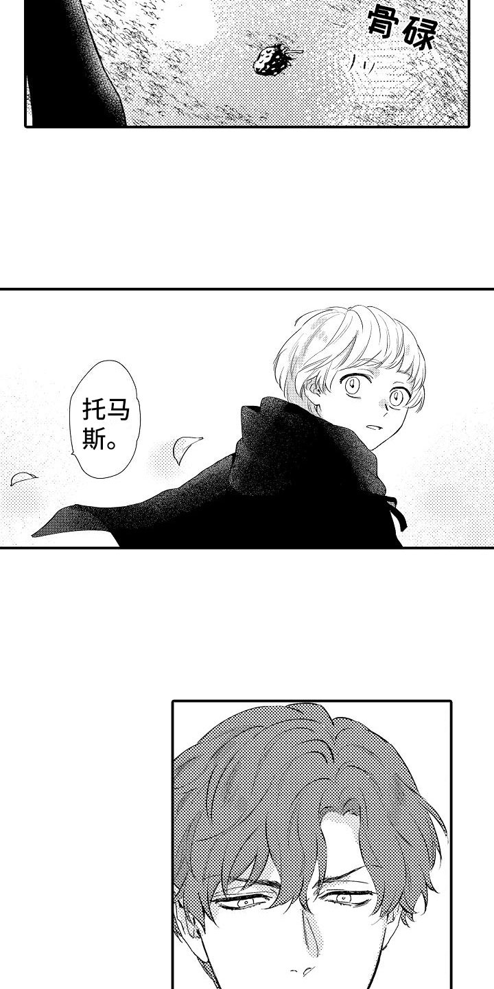 第8章：暴露13