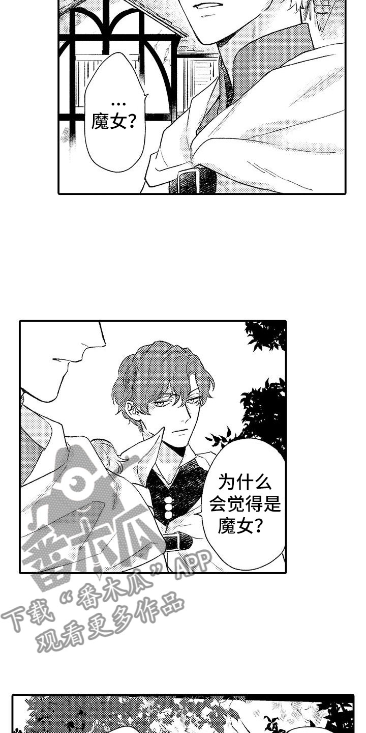 第12章：魔女5