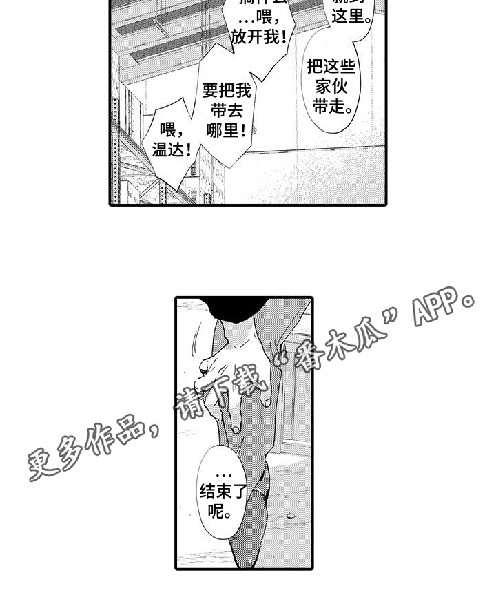 第19章：来龙去脉11