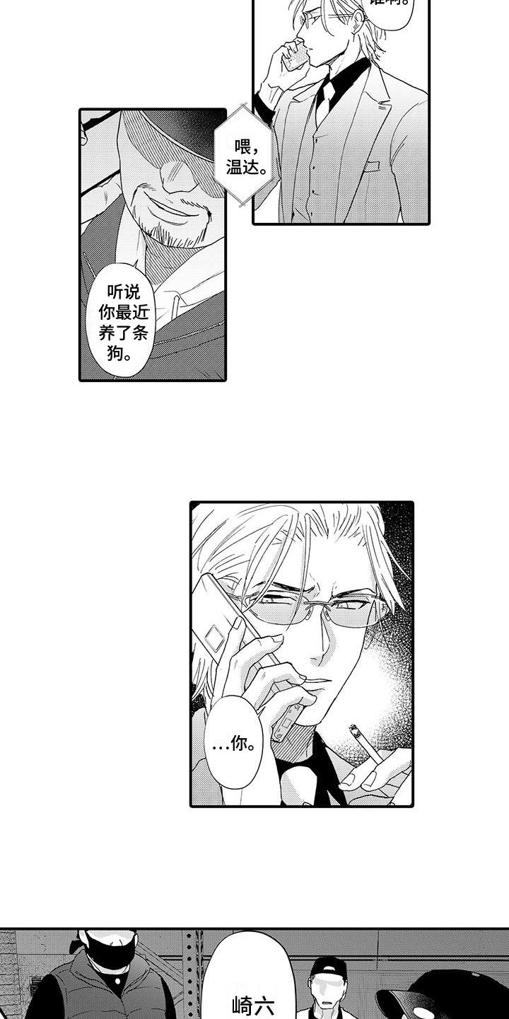 第17章：威胁10