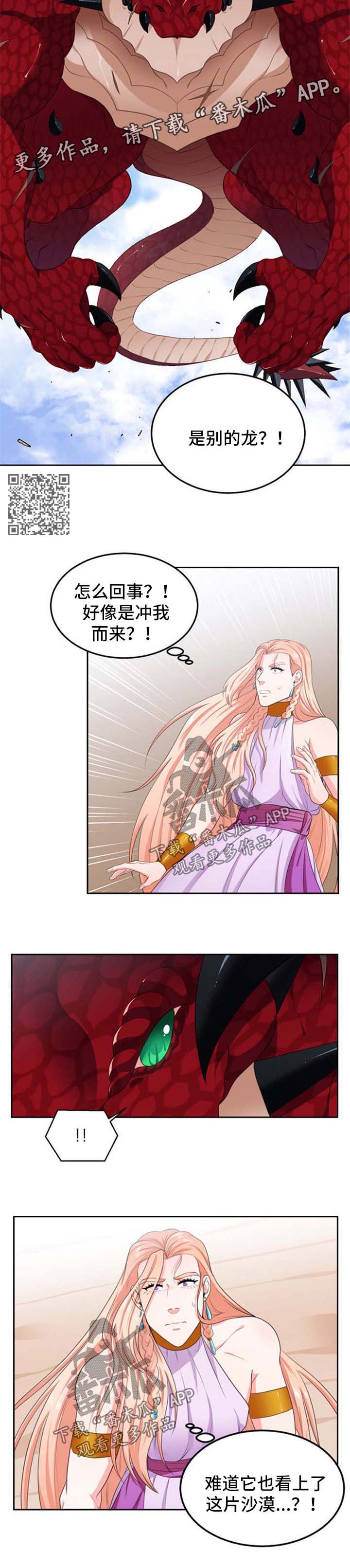 第40章：新的龙3