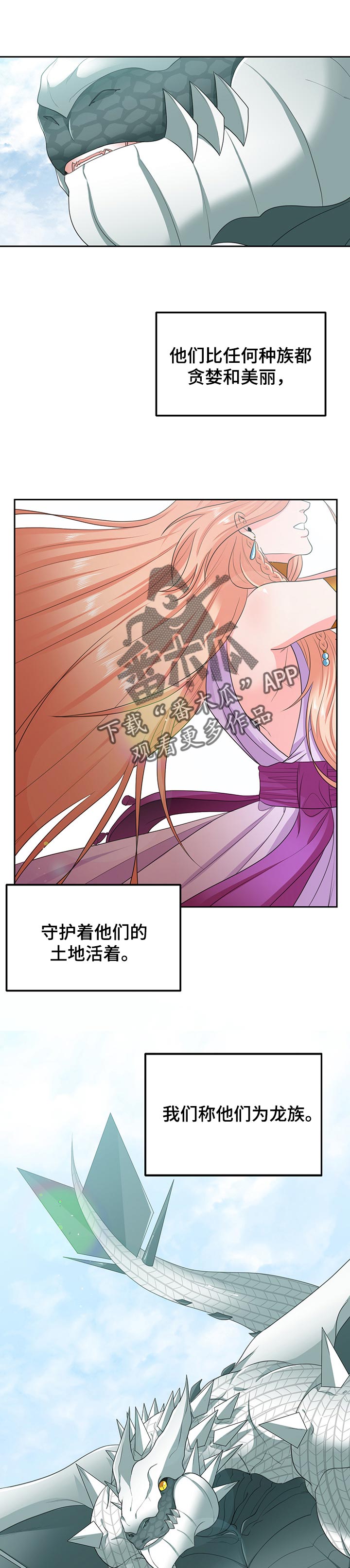 第75章：传说【完结】5