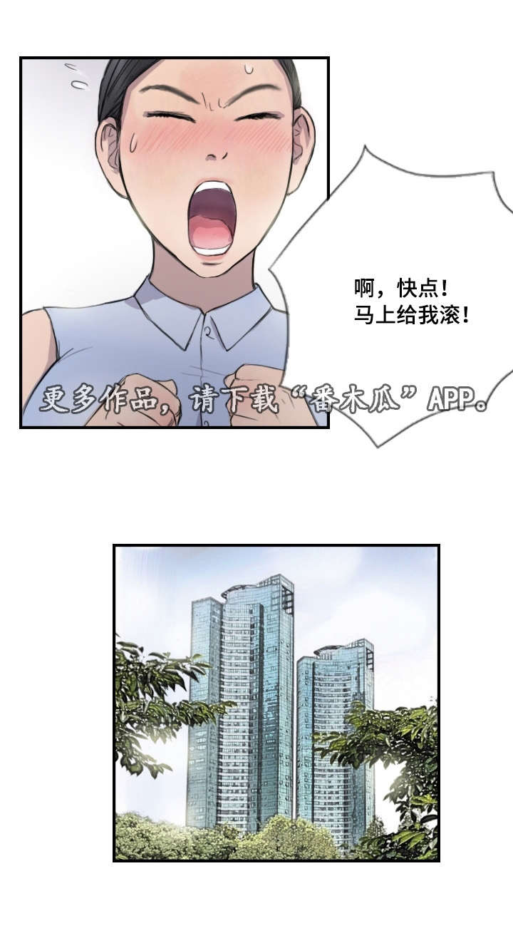 第11章：她的发现17