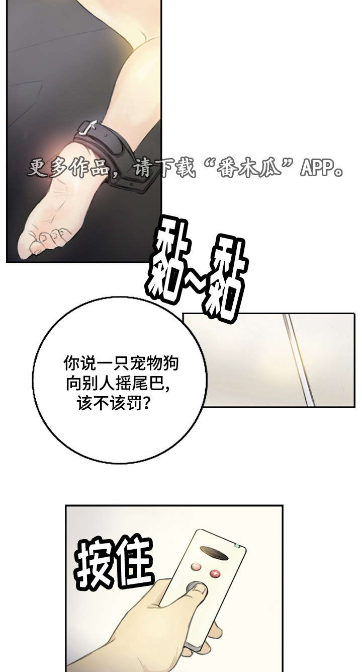 第27章：会杀死你8