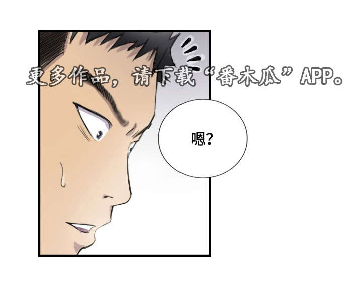 第11章：她的发现14