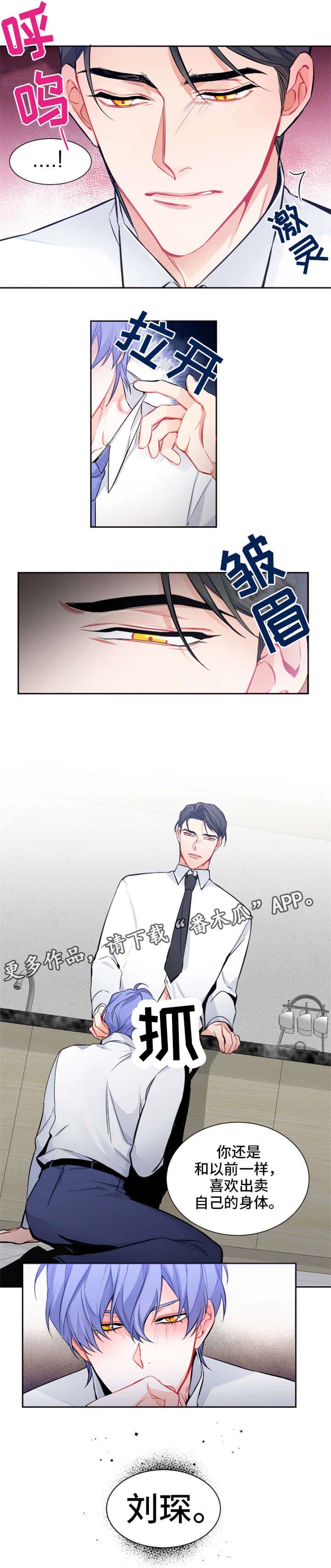 第6章：回答6