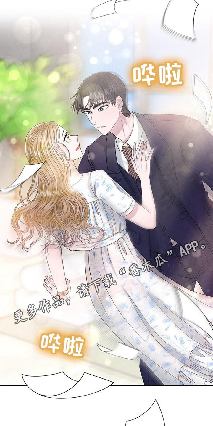 第15章：提议19