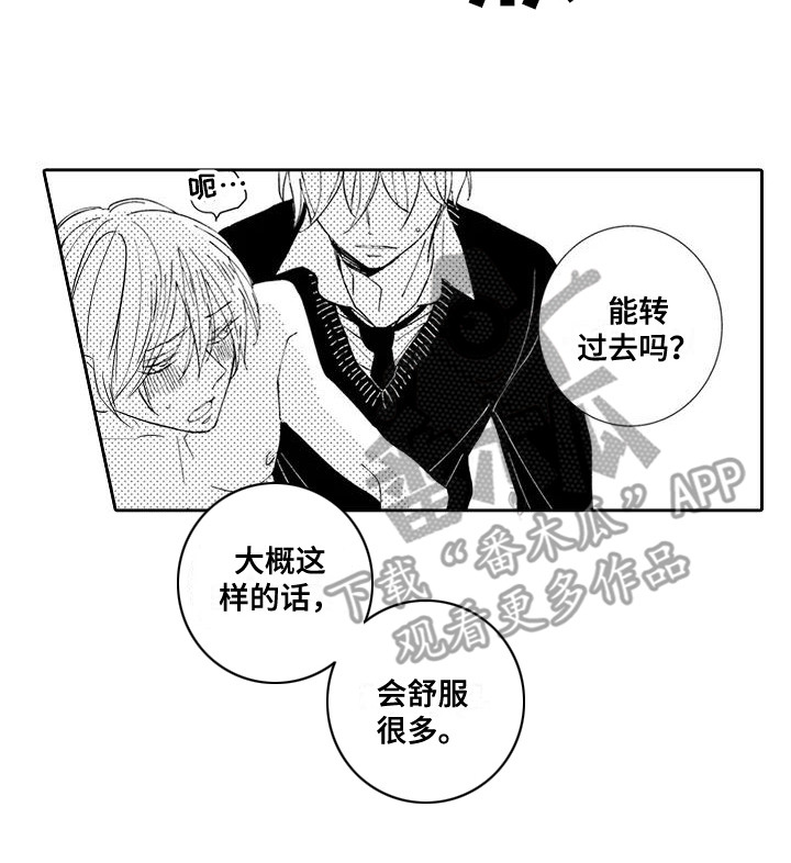 第18章：心愿12