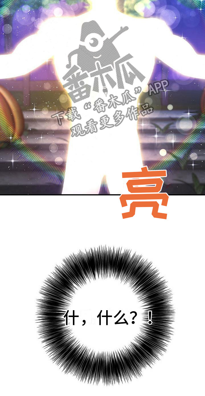 第11章：精灵6