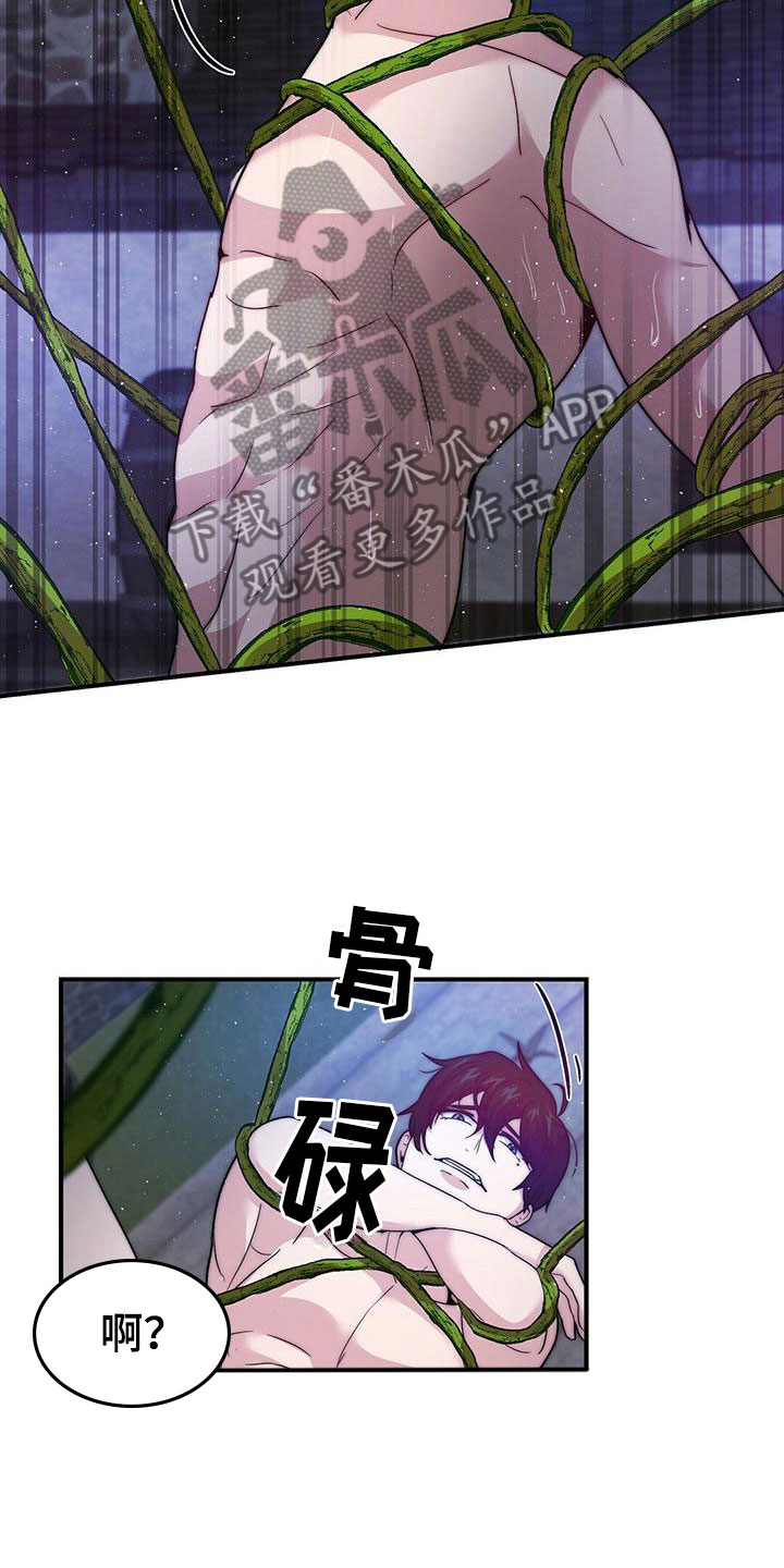 第13章：咒语出错19