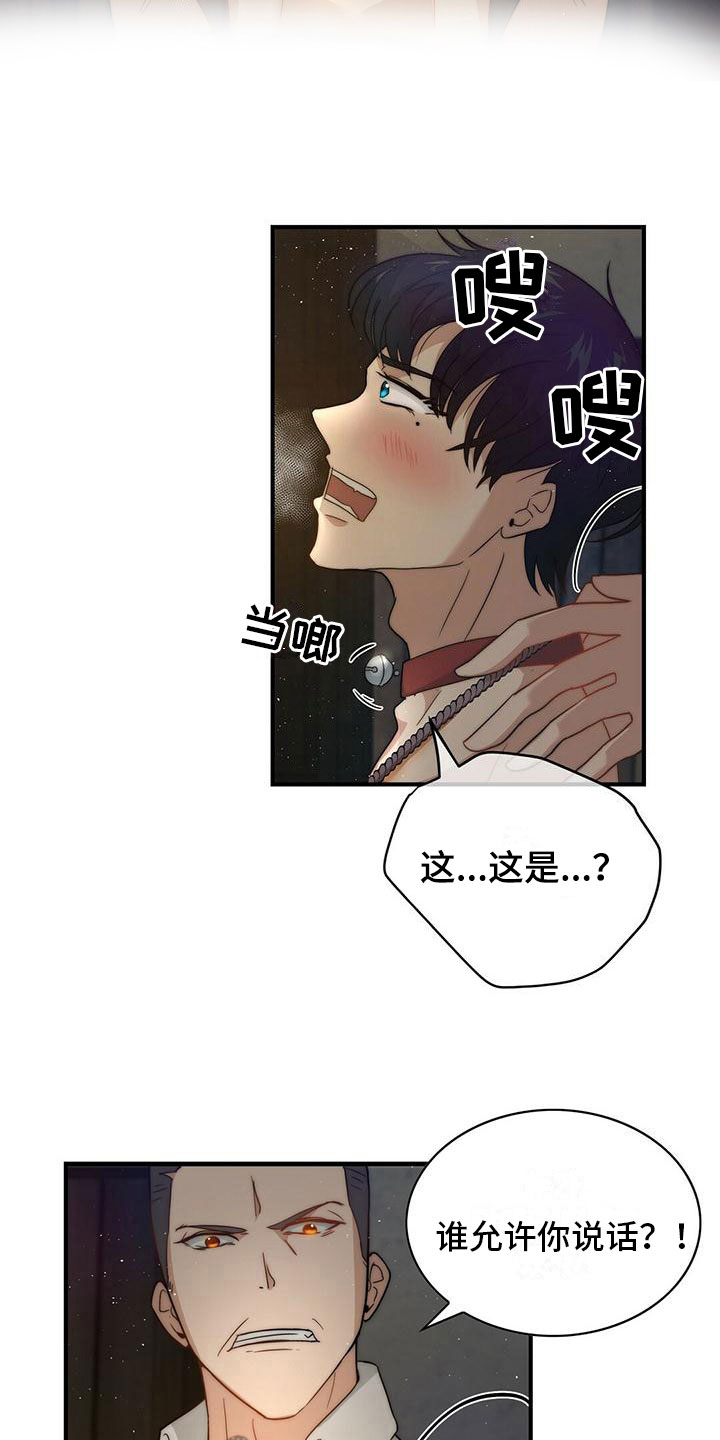 第10章：奖励7