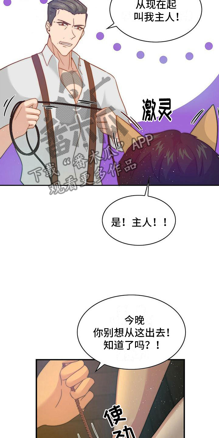 第10章：奖励5