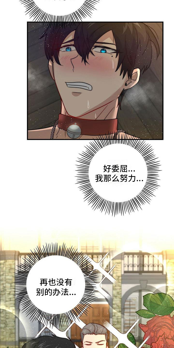 第11章：精灵1