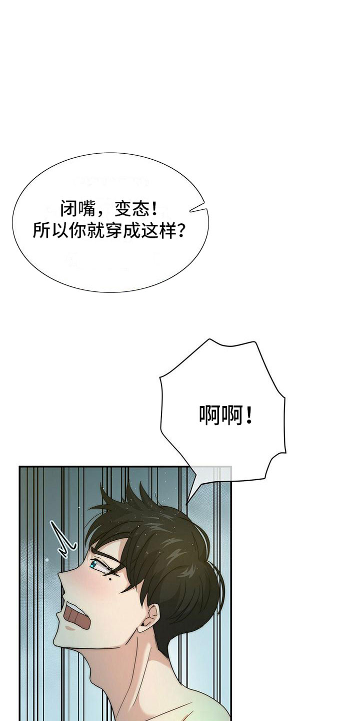 第1章：“灰姑娘”18